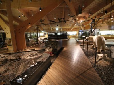 svalbard-museum-spitsbergen